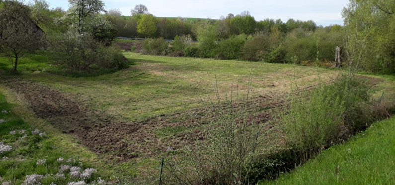 projekt-hirtenwiese